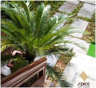 Spice Holidays Kochi Exterior foto